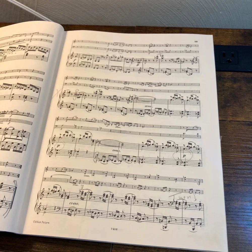 Haydn Trios Band I Piano Violin Cello Sheet Music Edition Peters Nr 192a Vintage